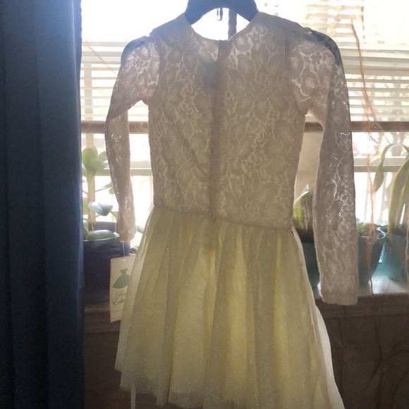 Rare Edition Little Girls Lace and Sheer w/lining Party dress - Picture 5 of 5